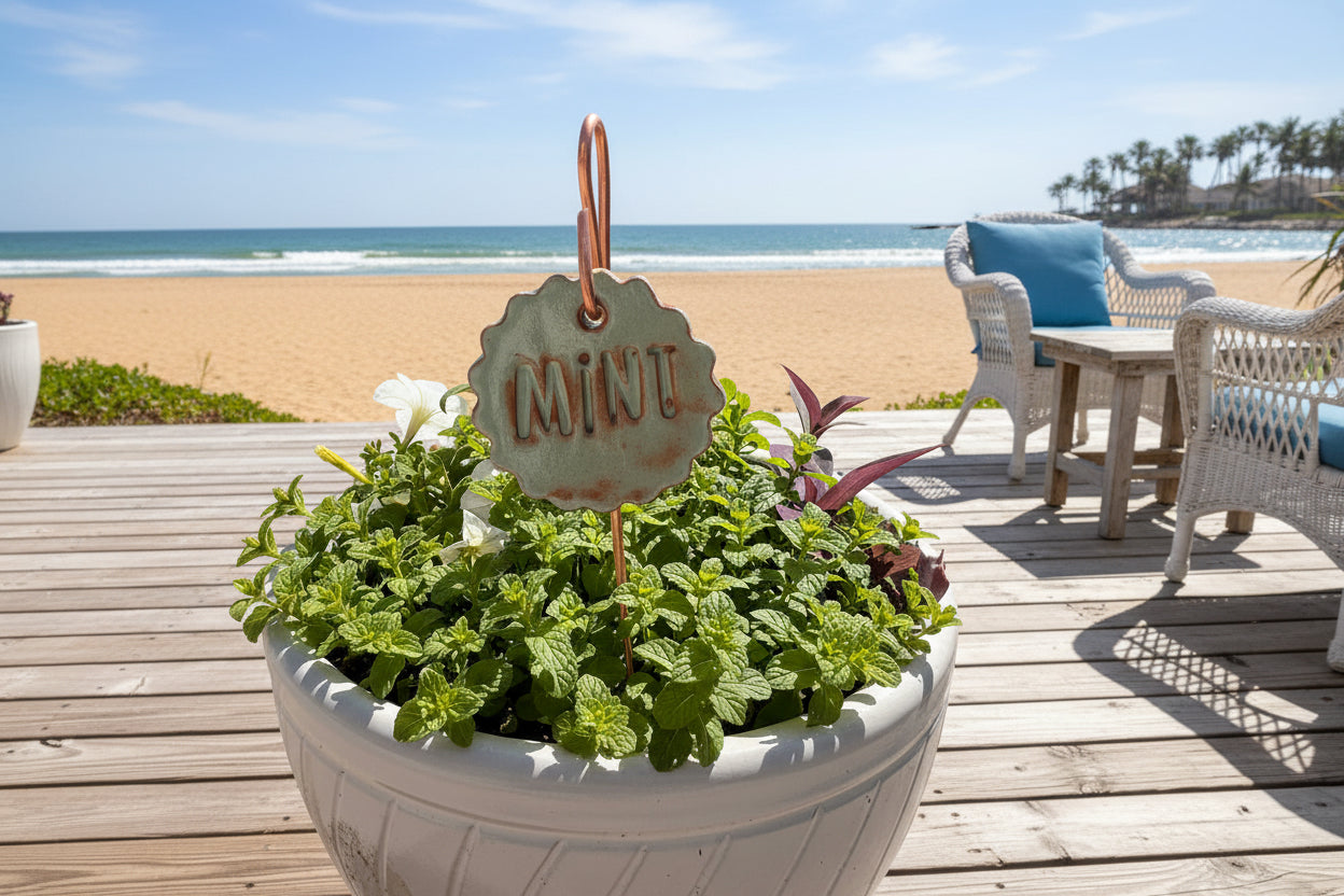 Potted plant with a 'Mint' sign on a wooden deck by the beach