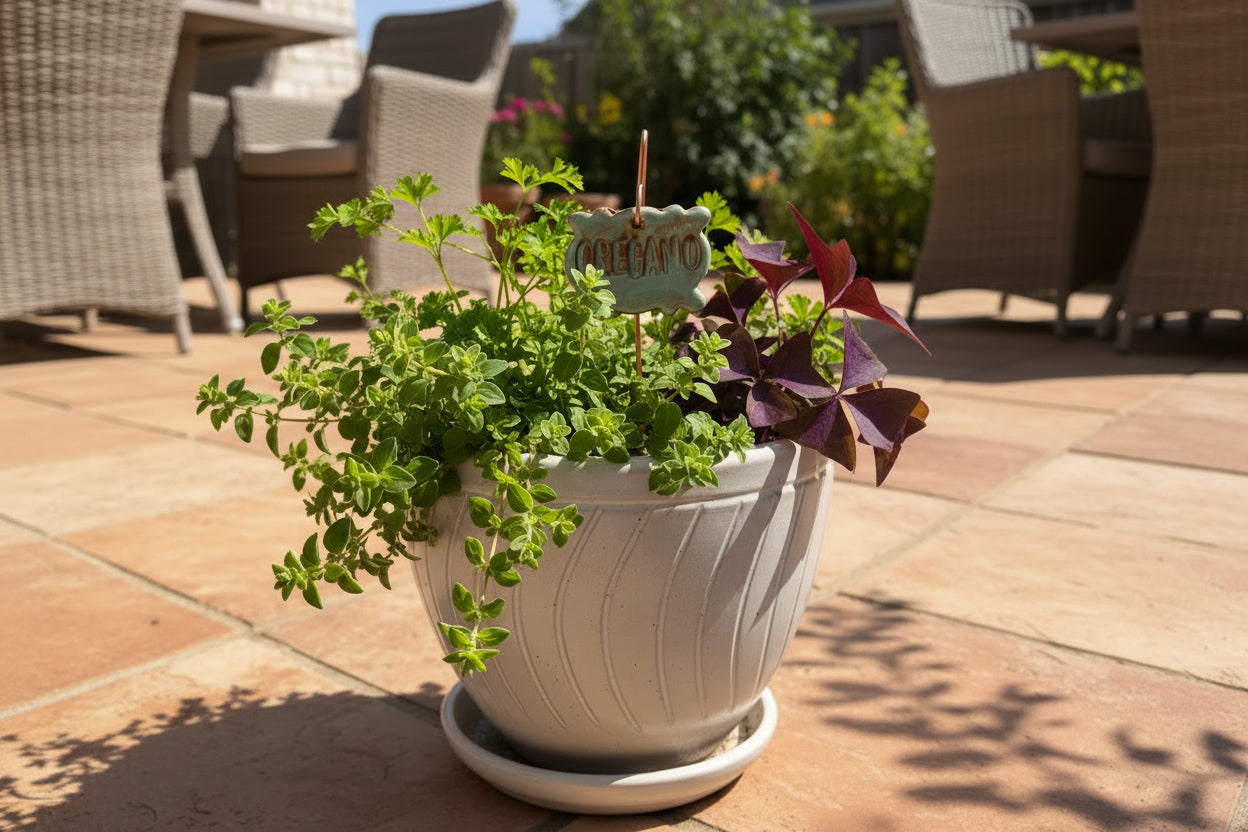 White planter with plants and a decorative sign on a sunny day.