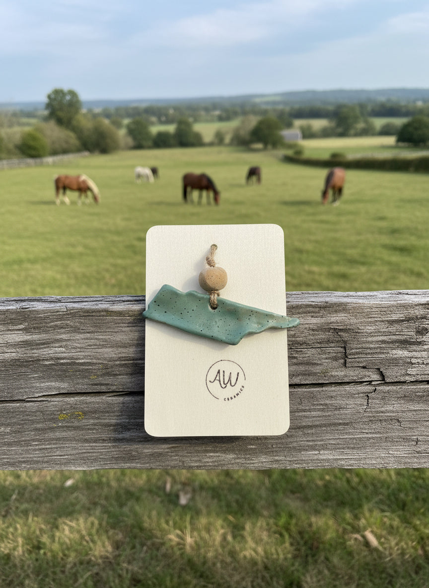A green ceramic tennessee ornament on a pasture fence