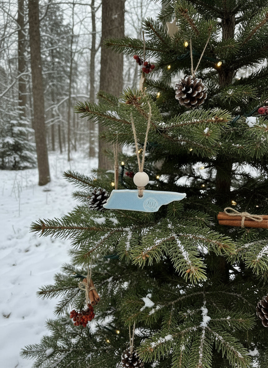 Ablue Tennessee ornament on a snowy landscape